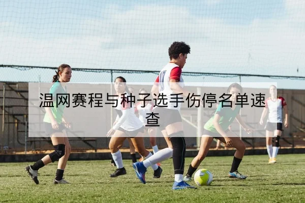 温网赛程与种子选手伤停名单速查